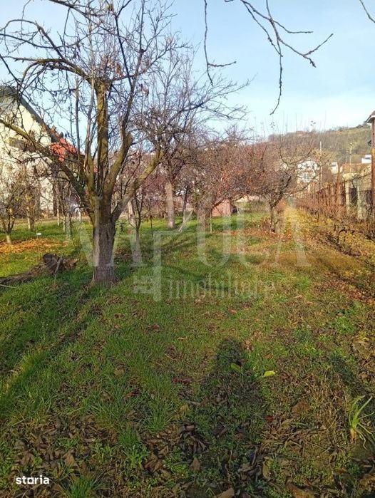 Teren intravilan pentru constructii de vanzare in Podgoria Oradea, Or