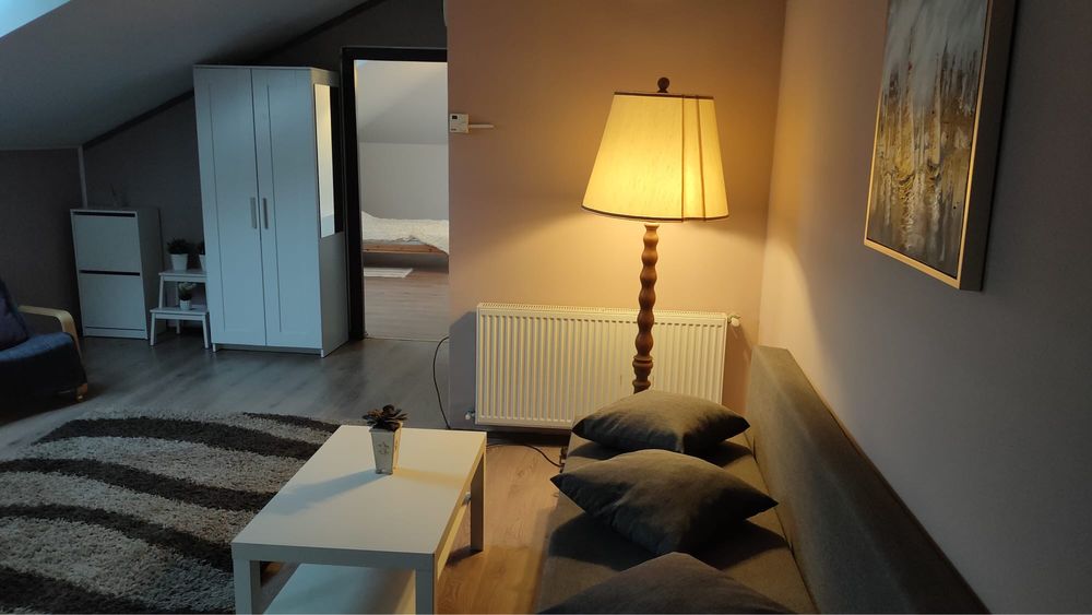 Vand mansarda in Floresti