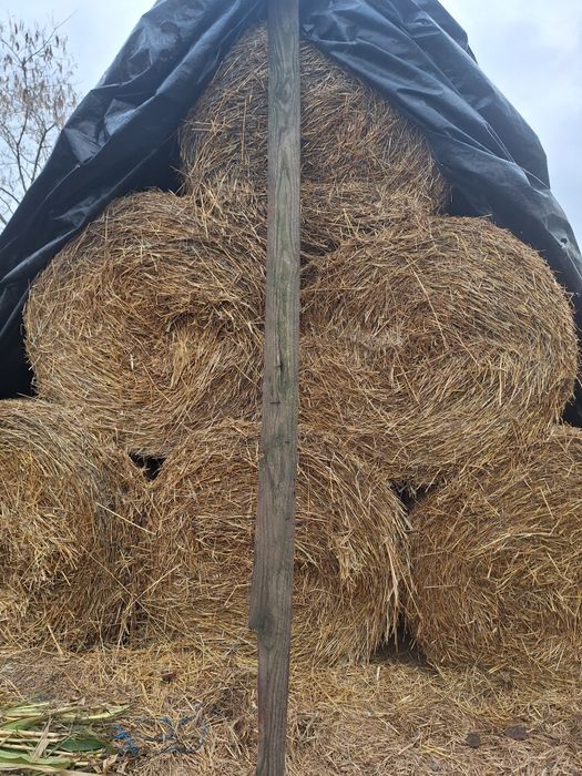 De vânzare baloți de paie