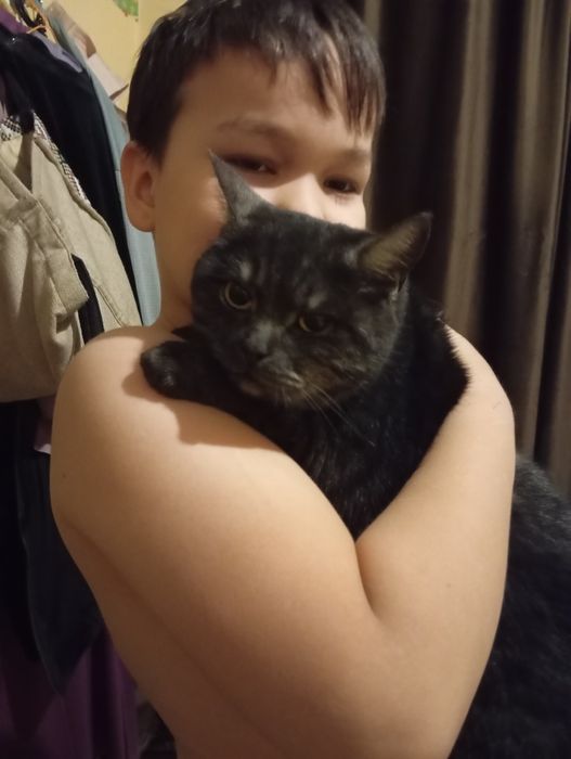 Кошка-чернобурка ищет семью