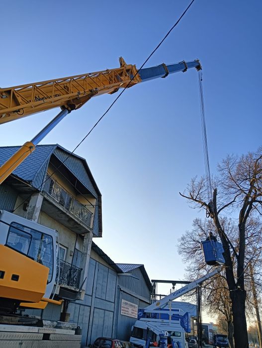 Defrișării/Curățare Grădini/Tăiere Arbori cu alpiniști Rapid