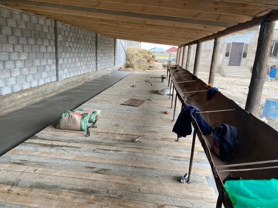 Жем-шөм салатын астау сатылады.