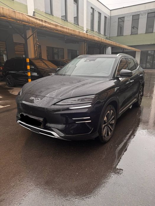 Byd chempon 2025 restayl