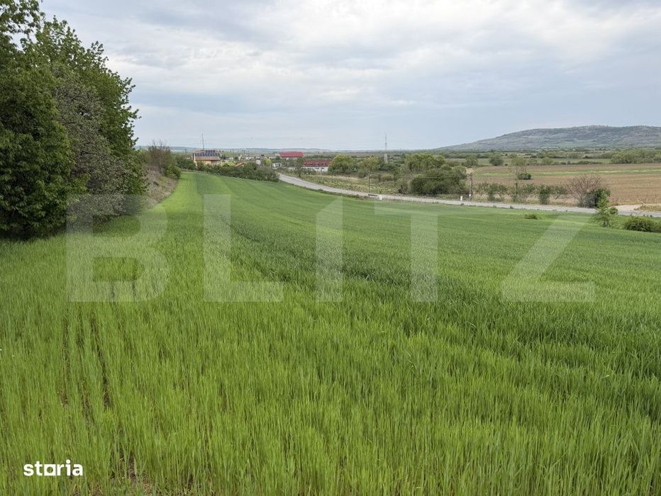 Teren intravilan in localitatea Bobota in suprafata de 12500 mp