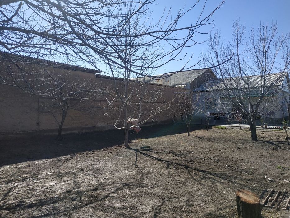 Кибрай Кипчак МФЙ