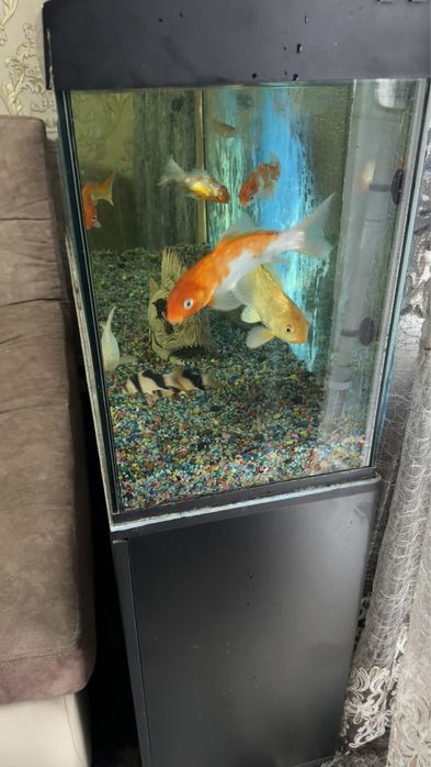 Продам Аквариум на 200литров