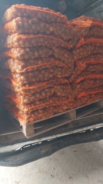 Cartofi alb si rosu de  samanta