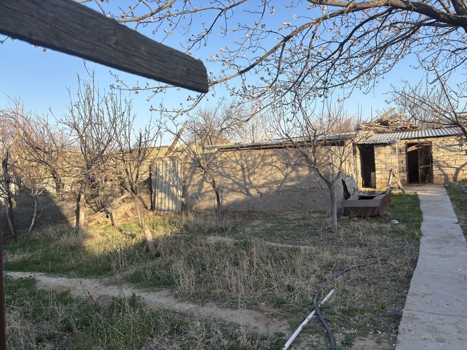 Дача сотилади ОАЗИСДА