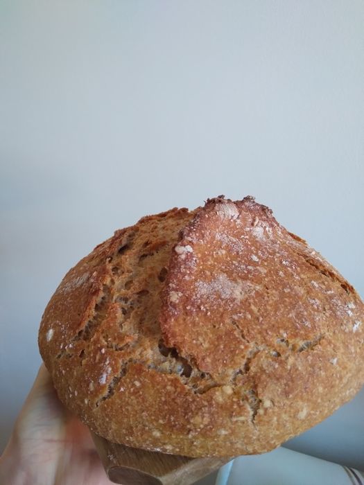 Paine cu maia de casa