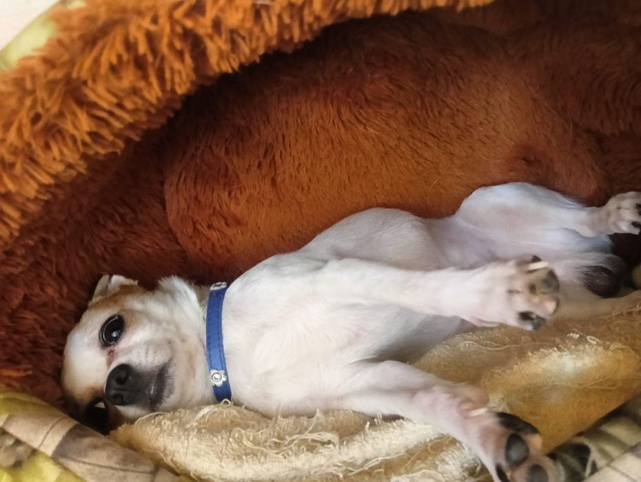 Мальчик ишо маленький