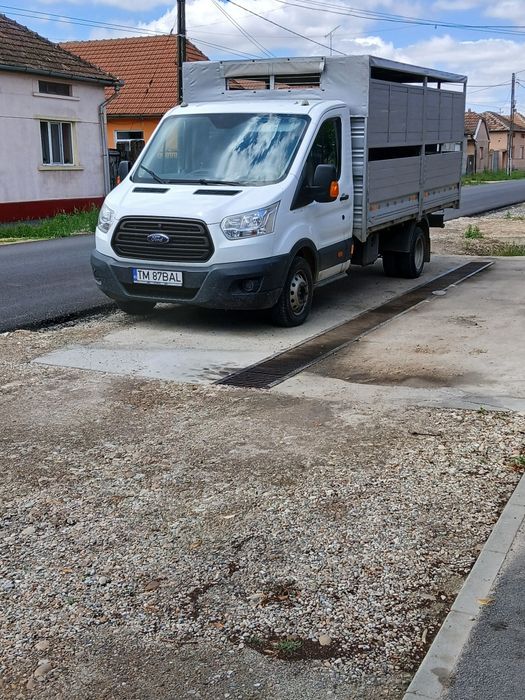 Transport  animale vii