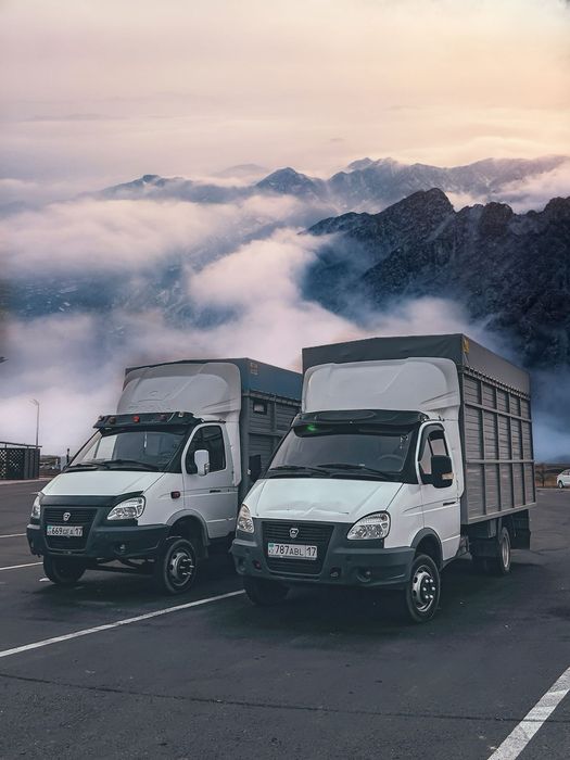 Грузоперевозки и Газель Недорого