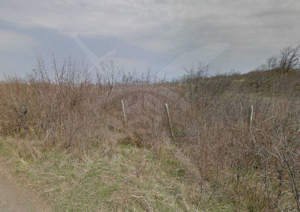 Парцел в село Венец 98239