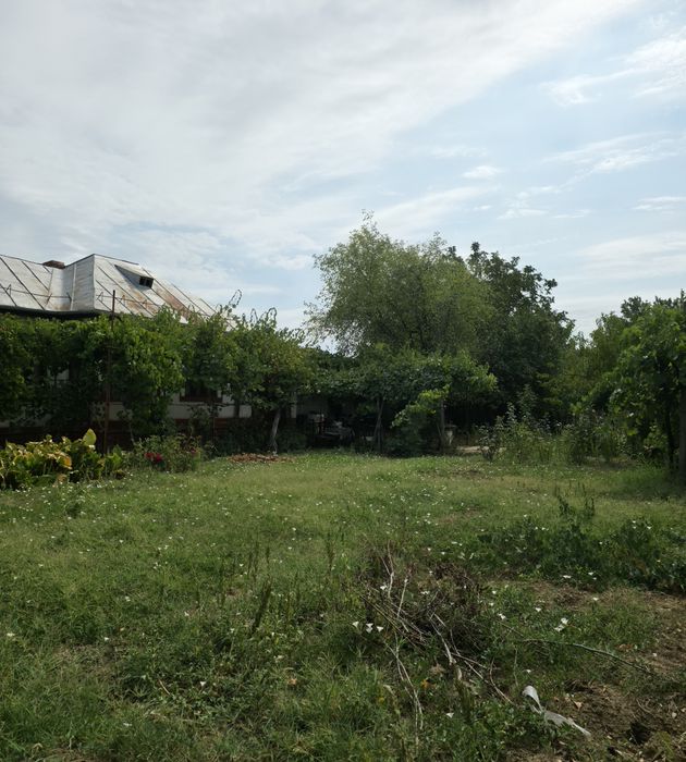 Vand casa in comuna Scaiesti ,Dolj