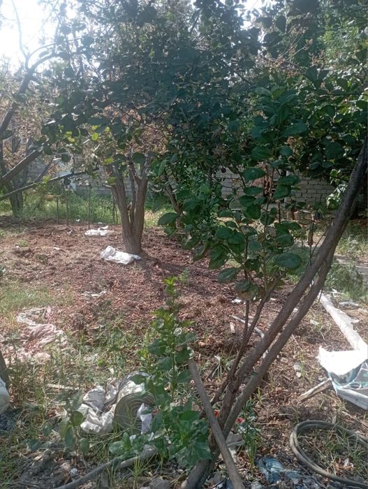 Продаётся зем участок 5,5 соток Кибрай Мустакиллик МФЙ