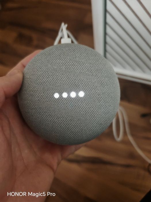 Google Home mini