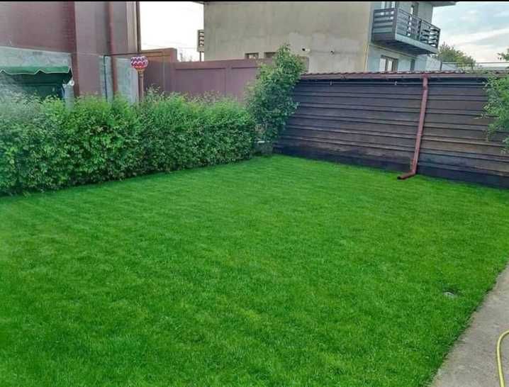 Gazon Rulou, Sisteme de irigare Plante Ornamentale