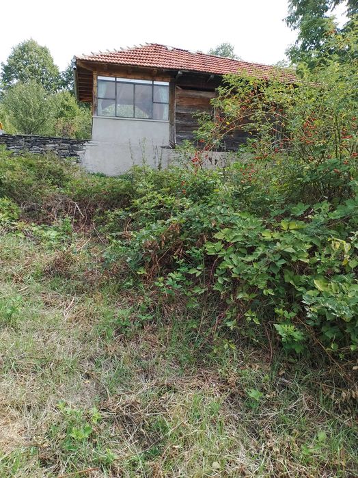 Незастроен имот в село Кладни дял, община Велико Търново