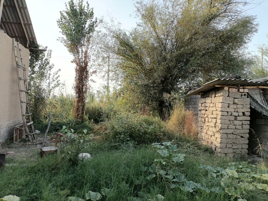 Продаётся дом, срочно