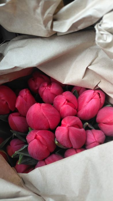Тюльпаны ОПТОМ Розы Оптом