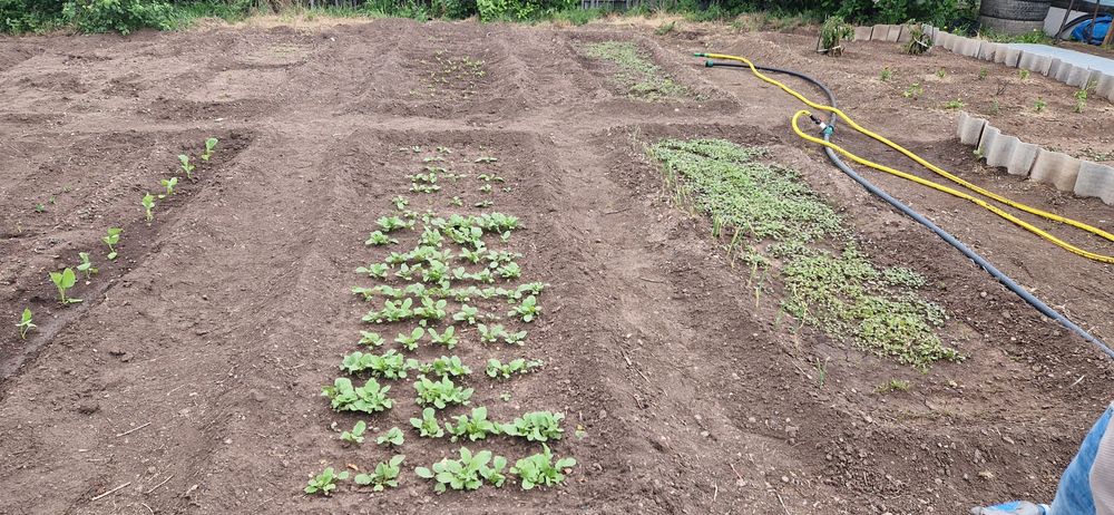 Продам дачу Уралочка