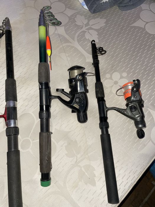 Bete pescuit 500 lei toate trei