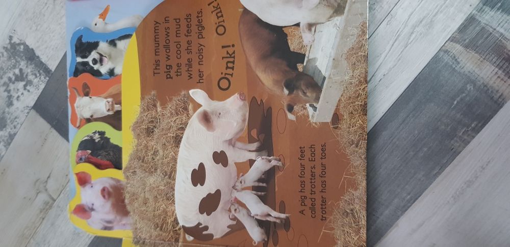 Carti copii cartonate engleza