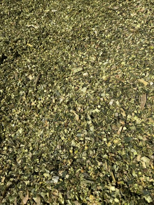 Vindem baloti siloz de porumb 1000 KG