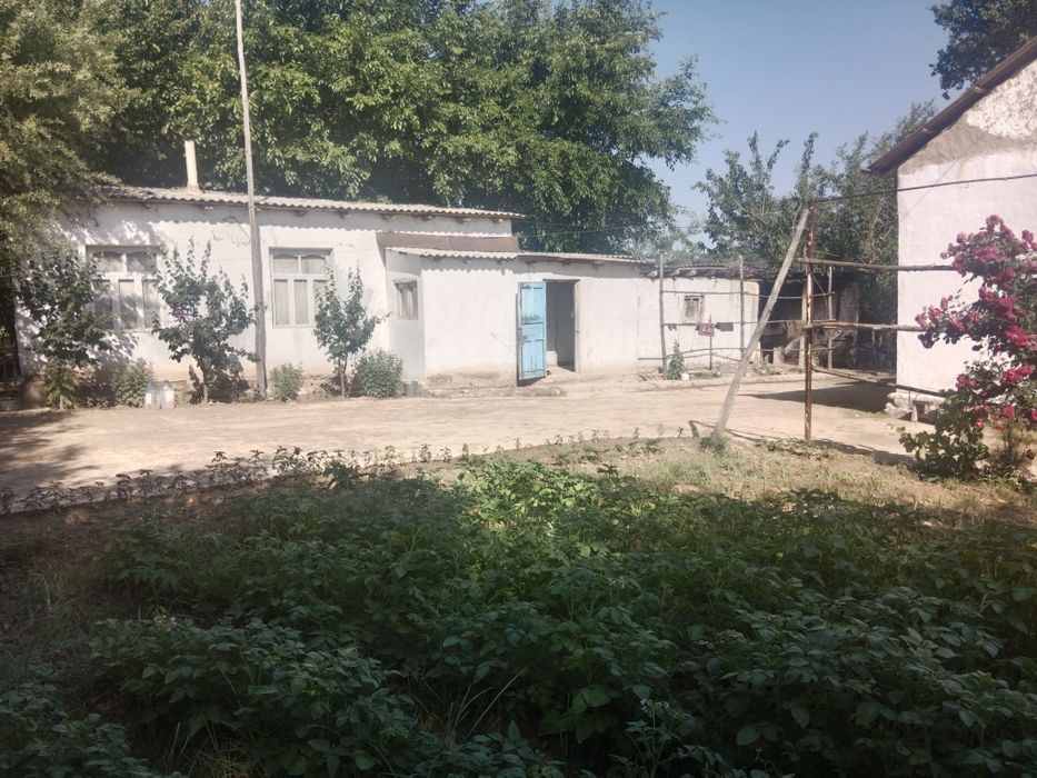 Ташкент в Бука Бука мфй қудайқул махалласи