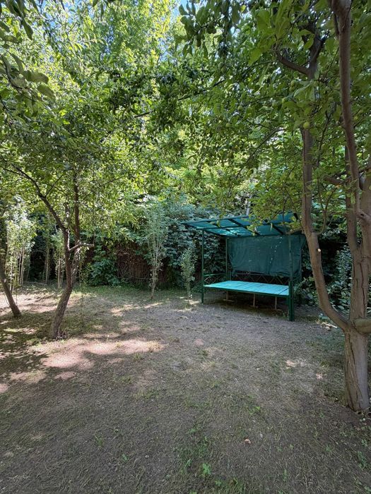 Tozza ozoda dacha