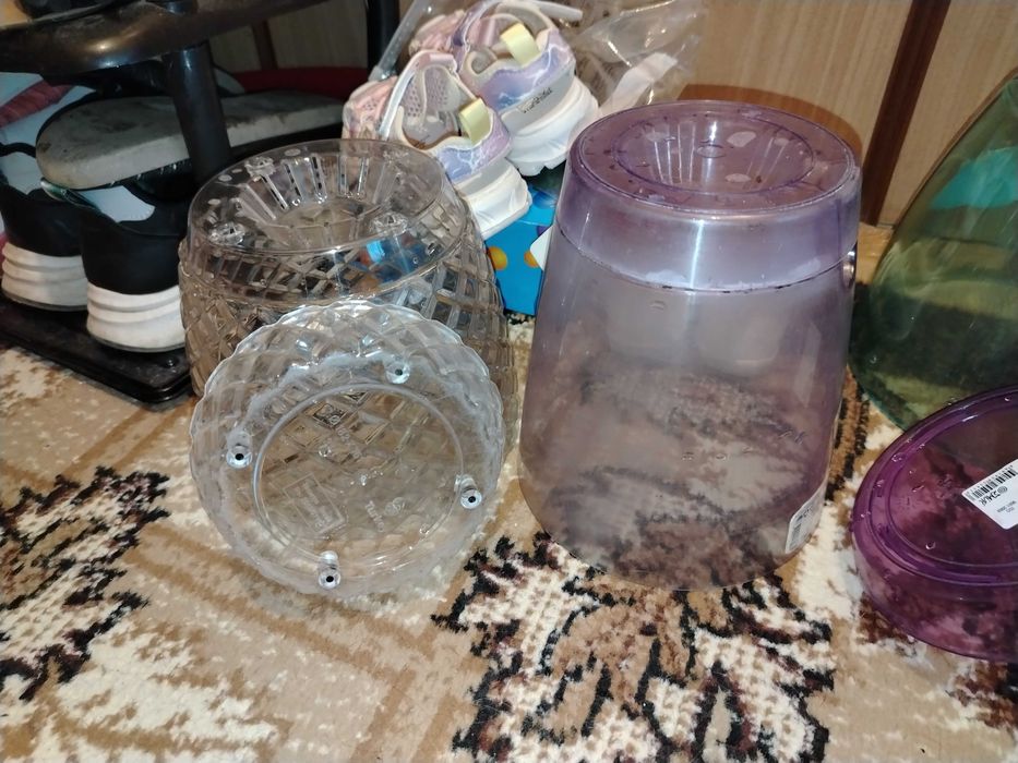 Саксии за орхидеи