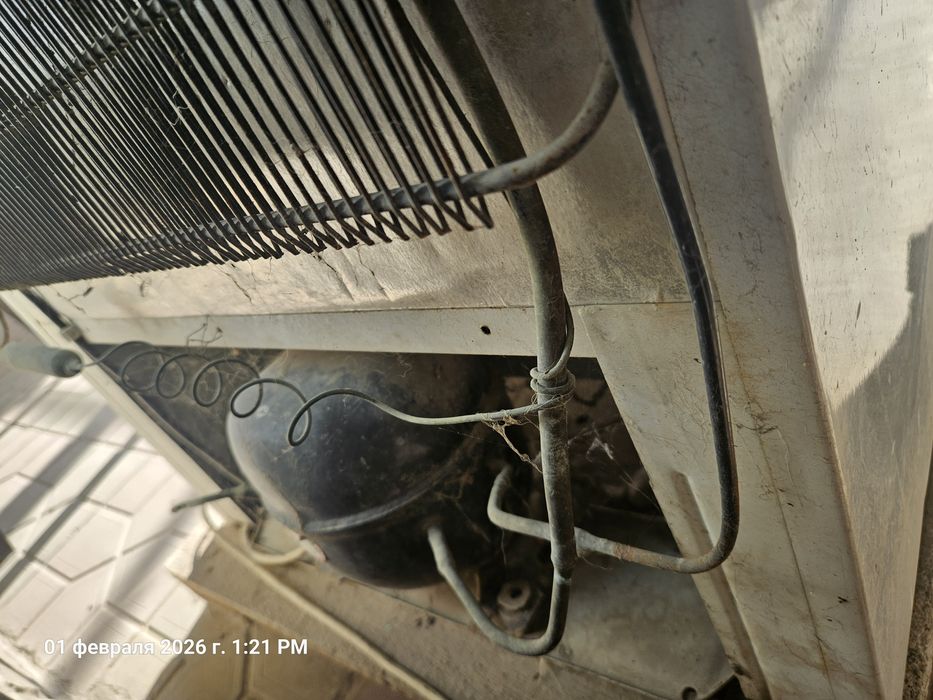 Холодильник Бирюса