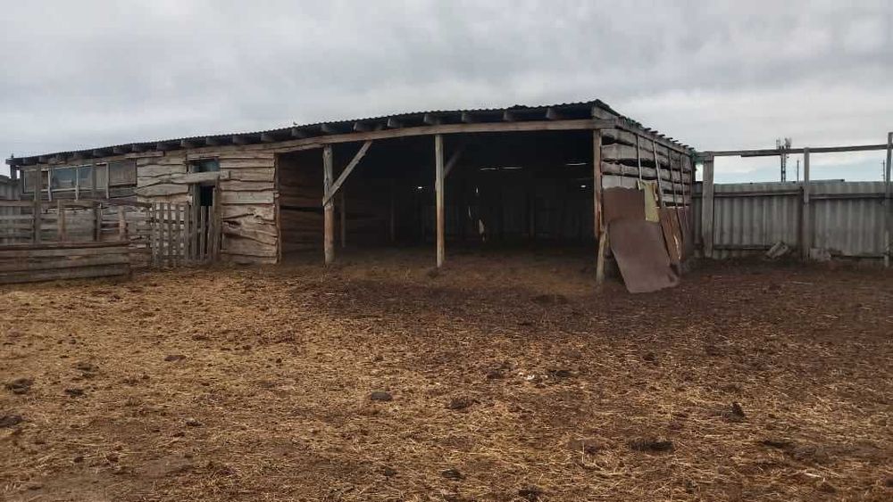 Продам фазенду в поселке Сергеевка