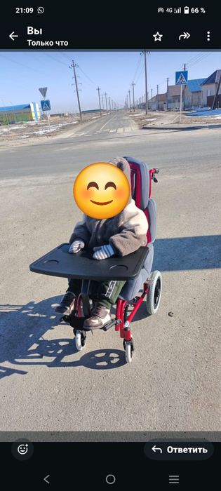 Многофункциональная коляска