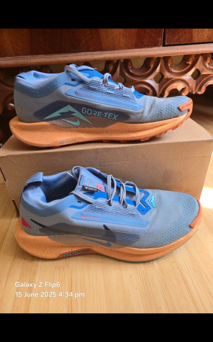 Nike Pegasus Trail 5 GORE-TEX gtx reactx