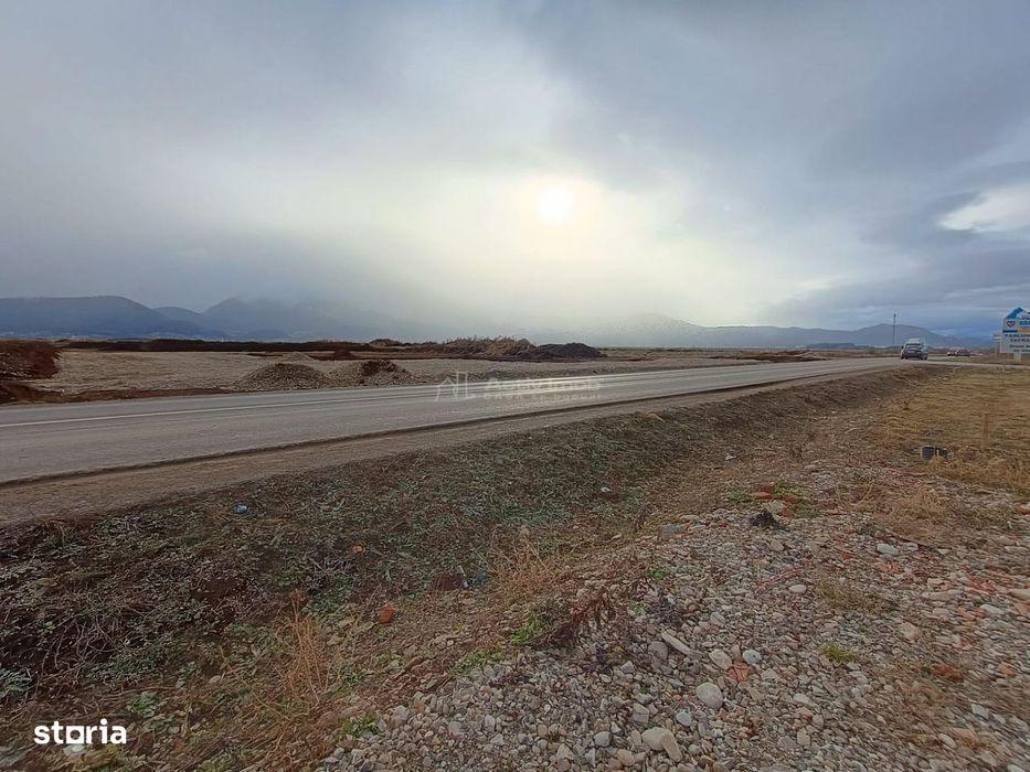 Teren 9000 mp Sacele Izvor, front 356 m la DJ 103A