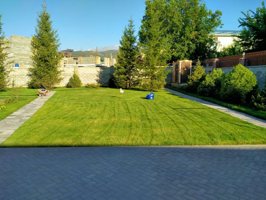 Газон рулонный и посевной.