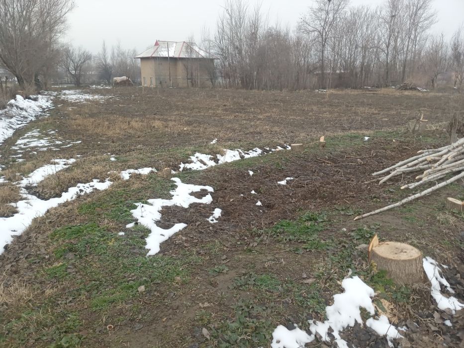 Очик майдон сотилаяпди узимни ховли жойимдан булиб