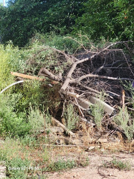 Дрова, тезек, ағаш отын сатылады