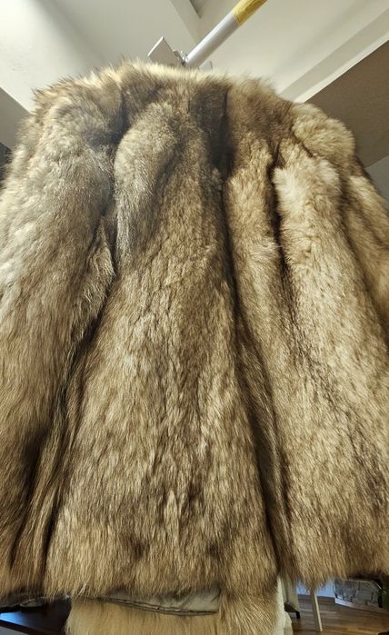 Haina de blana vulpe argintie