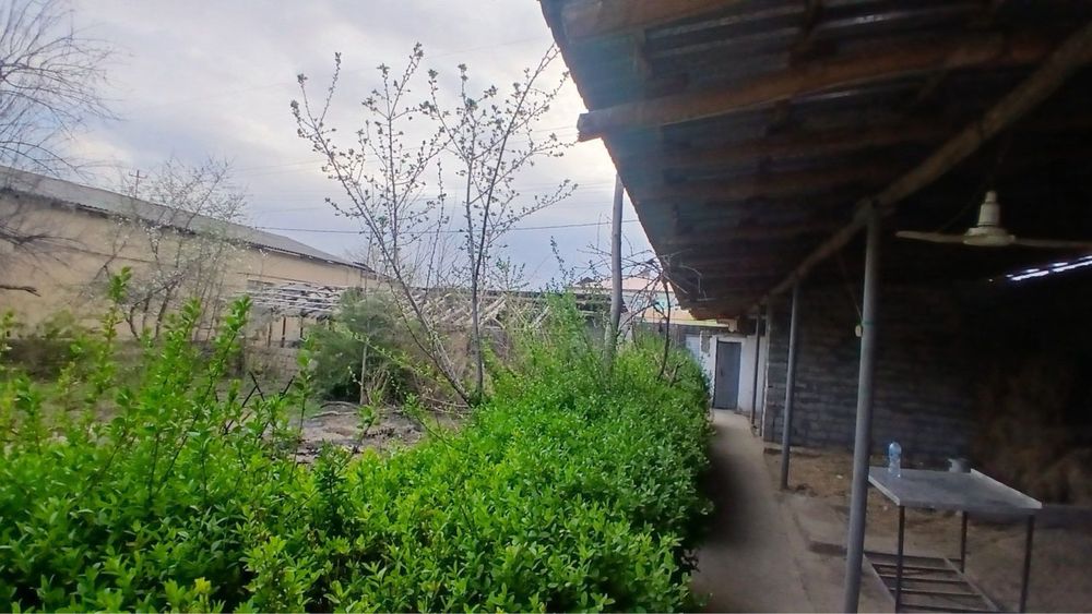 Sirdaryo shahar Shirin MFY da 5.50 sothli uchaska sotiladi