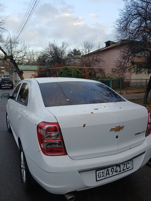 Cobalt Style Plus 2022