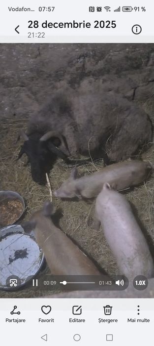 Vând tot ce se vede 35 mil .