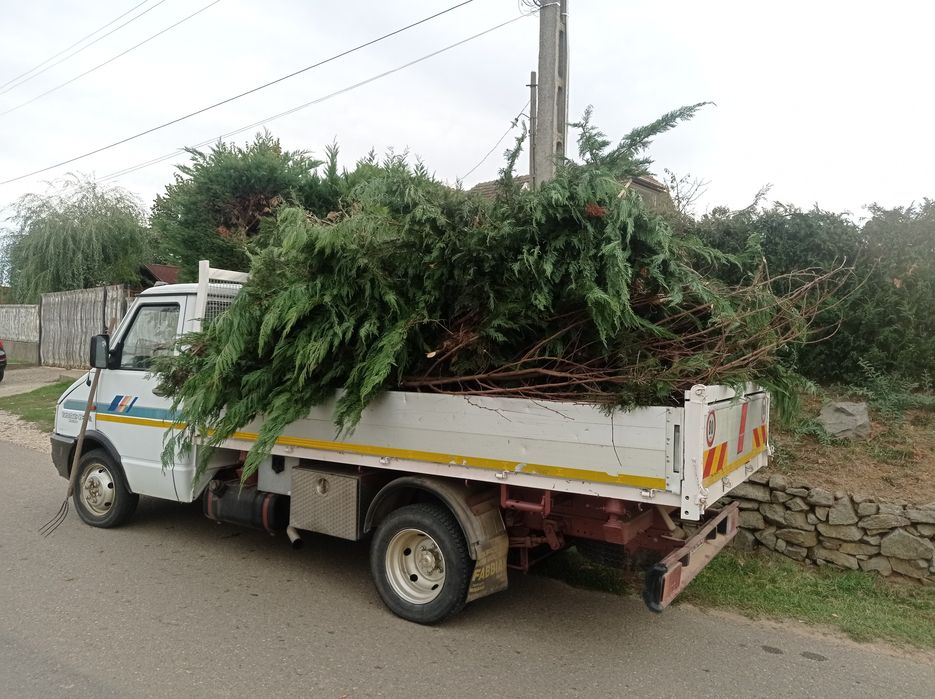 Vînd camioneta basculabilă tri laterală