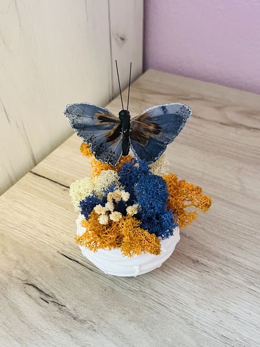 Кашпи със скандинавски мъх