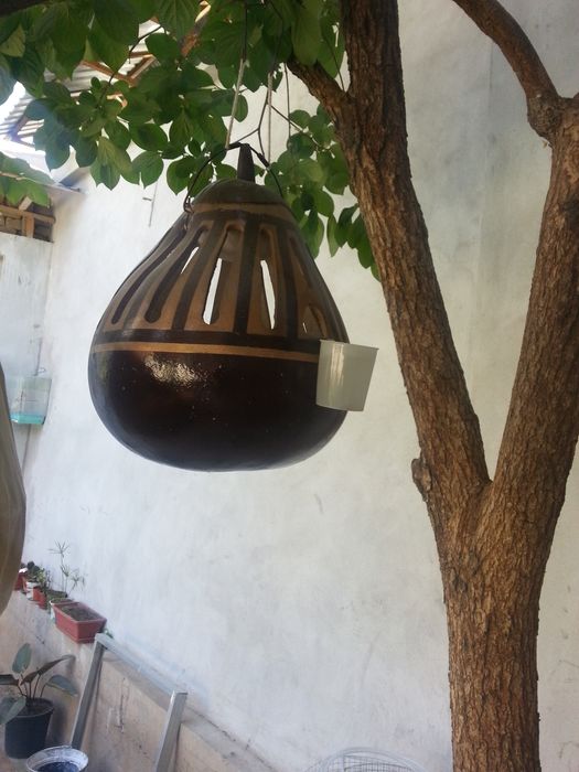 Sohildagi jinsiy aloqa qolga tushdi