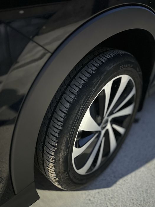 BYD chempion honor 2024