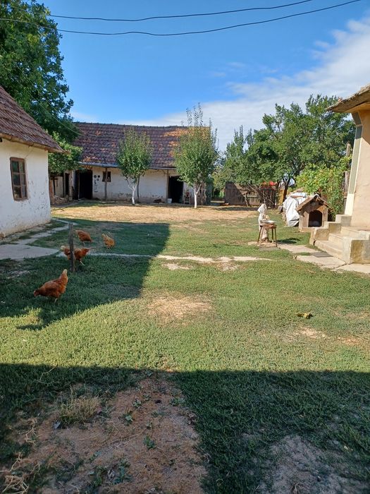 Casa + teren vanzare Silindru