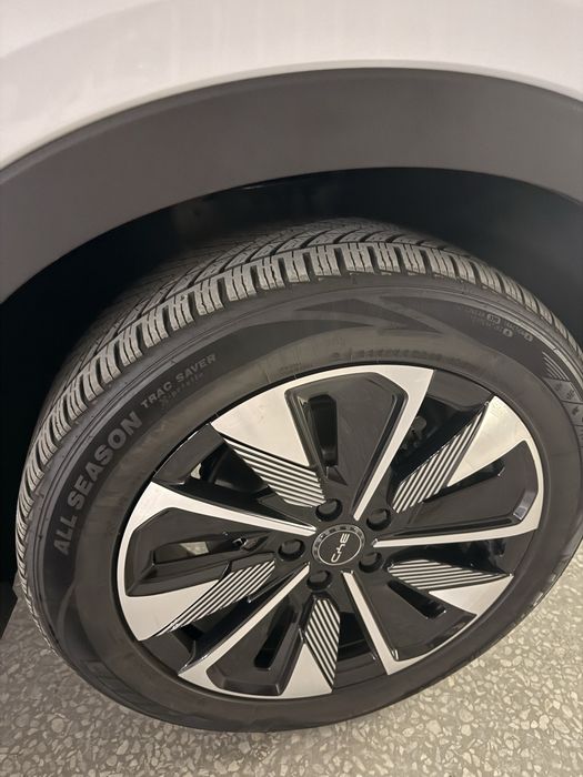 BYD Chenpion Restaling 605