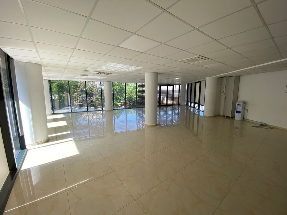 Spatiu birouri ultracentral Str Savinesti, 134mp etaj 1, 128mp demisol